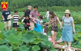 Thiếu nữ Hà thành nô nức khoe sắc cùng mùa sen nở